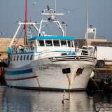 �� normale - afferma il 60enne pescatore Donato (soprannominato �u figghie du mazzapisce�) -. Siamo solo in sette a portare qui il nostro carico direttamente dai pescherecci�